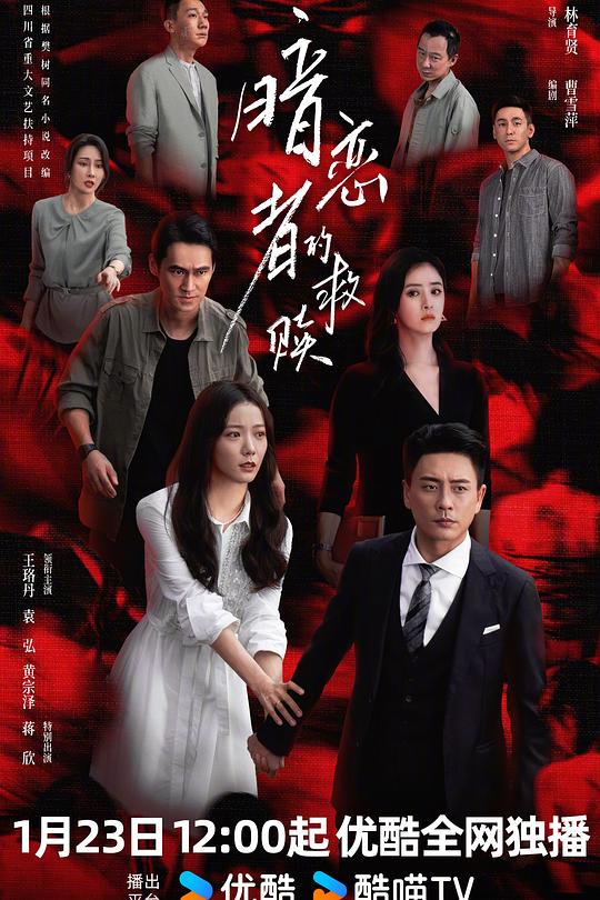 暗恋者的救赎海报