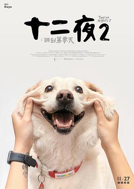 十二夜2:回到第零天海报