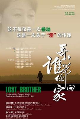 哥哥,谁带你回家海报