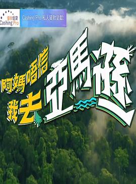 阿妈唔信我去亚马逊粤语海报